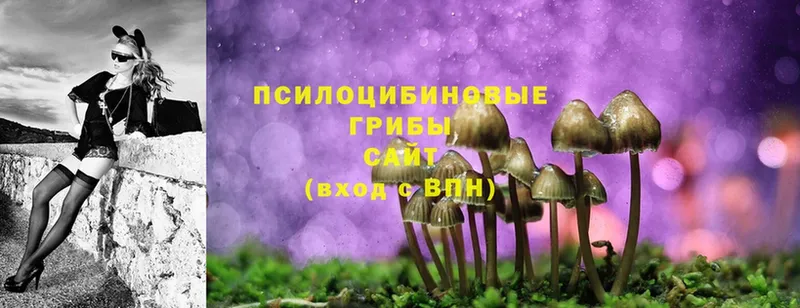 Псилоцибиновые грибы MAGIC MUSHROOMS  Ковров 